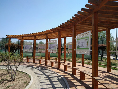 1658802817702602.png 10.png